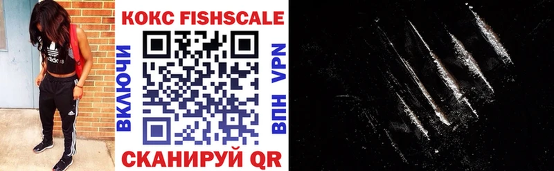 КОКАИН FishScale  это наркотические препараты  Каменка 