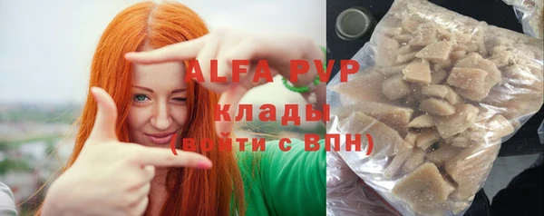 бошки Гусев